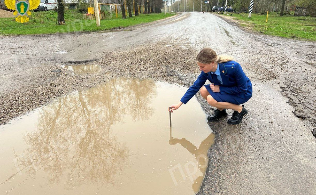 Прокуратура указала Тулаавтодору на ямы на дороге в Воловском районе