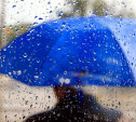 Погода в Туле 12 июля: сильный ветер и дождь с грозой