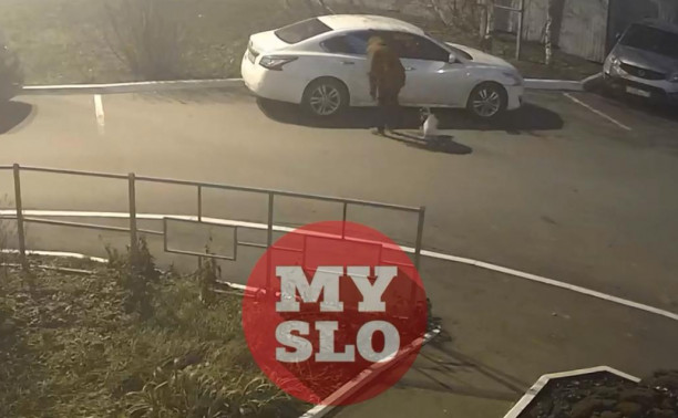 «Переоделся в бабушку и пишет послания на машинах»: в Туле разгорелся конфликт между соседями из-за неаккуратной парковки 