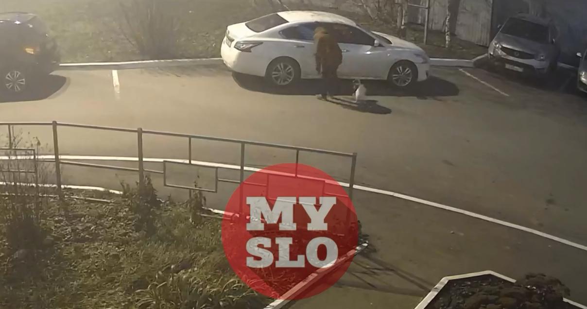 «Переоделся в бабушку и пишет послания на машинах»: в Туле разгорелся конфликт между соседями из-за неаккуратной парковки 