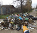 В Туле увеличат штраф за несанкционированный сброс мусора 