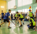 В Тульской области реализуется программа развития хоккея