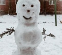 «Зимнее дело»: в Алексине неизвестные разломали снеговика