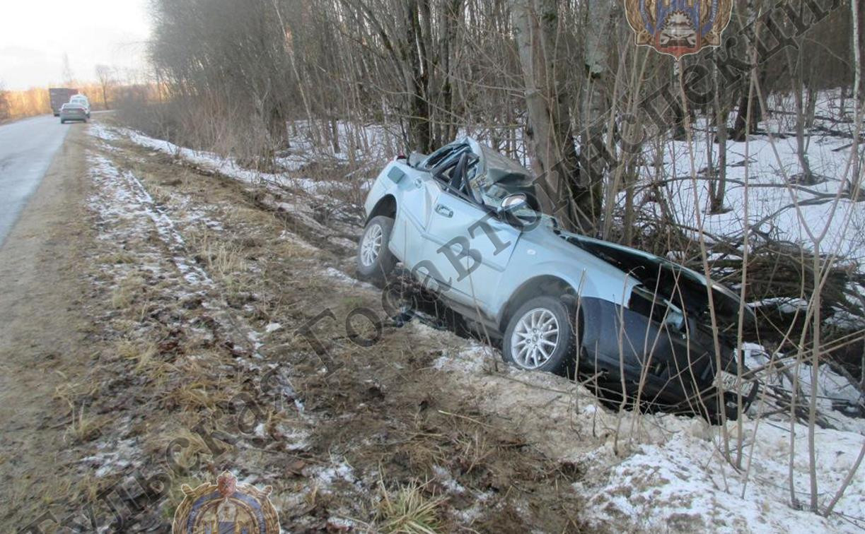 В Тульской области два человека погибли в ДТП