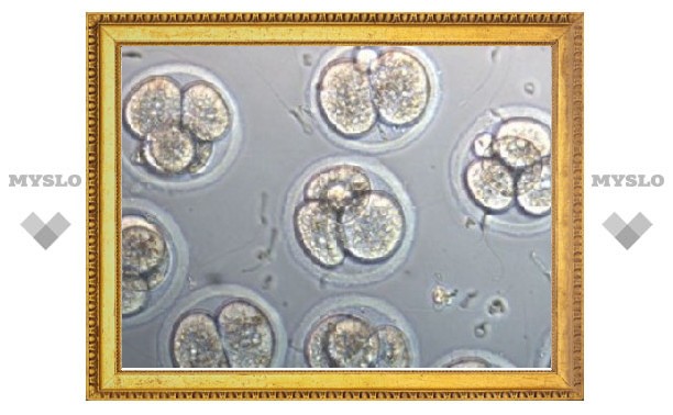 Ученые повысили эффективность искусственного оплодотворения