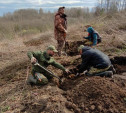 Тульские поисковики обнаружили останки восьми красноармейцев подо Ржевом