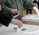 По итогам выборов в Тульской области 44 мандата достались «Единой России»