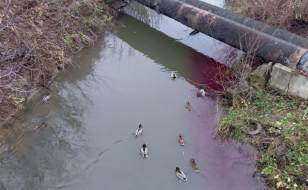 Жизнь Тулы и области