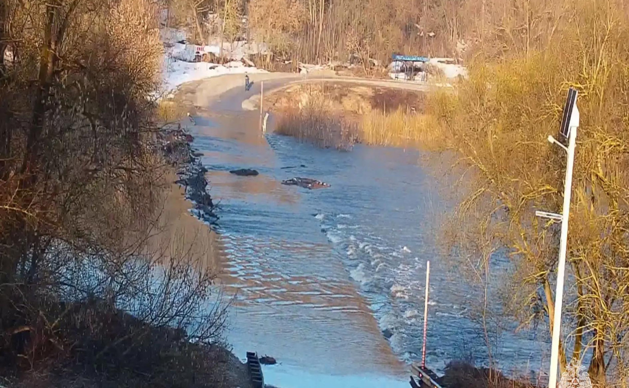 Вышедшие из берегов реки затопили 5 мостов в Тульской области