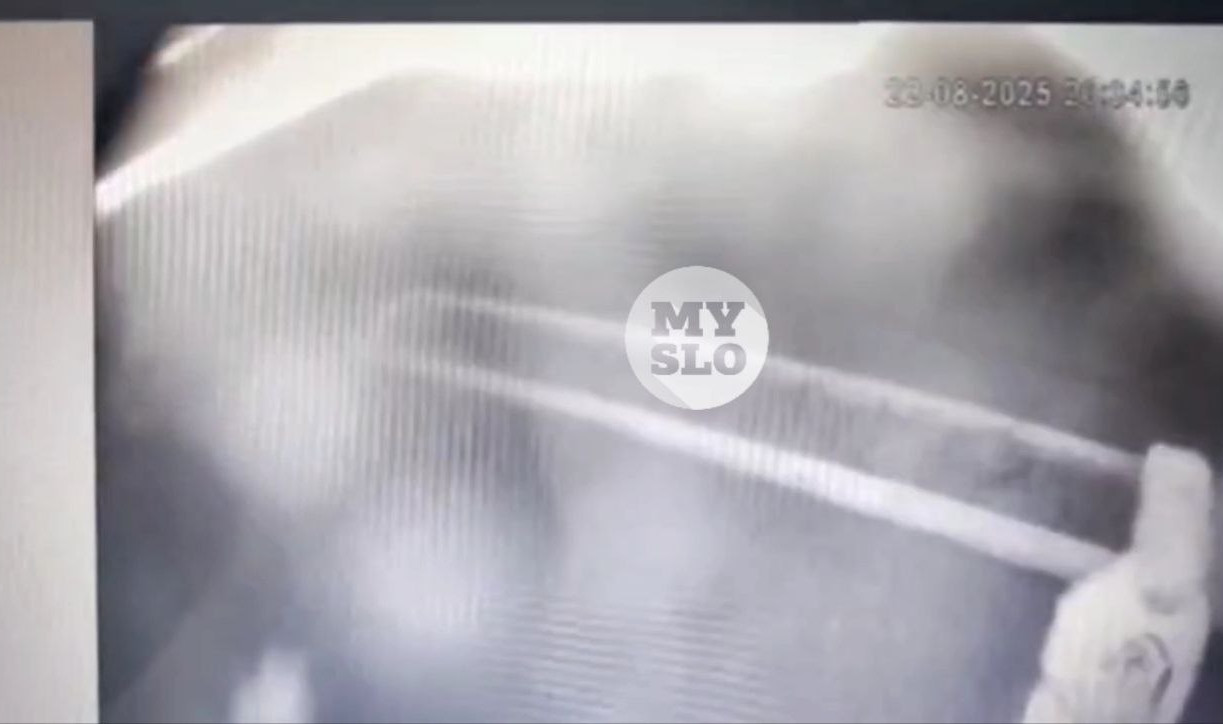 Неадекватный туляк с пакетом на голове пытался разрубить топором соседский забор 