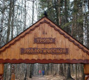 В Тульской области появится экотропа «Яснополянский лес»