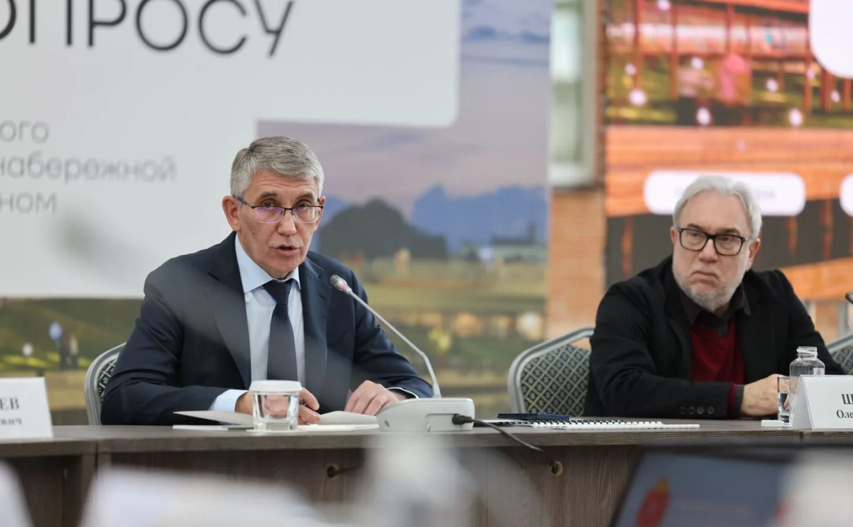 Проект новой тульской набережной создадут до 1 декабря 