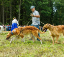 В Ясной Поляне в третий раз прошел фестиваль «Охота как искусство»