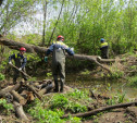 Русло Щегловского ручья расчищают от мусора
