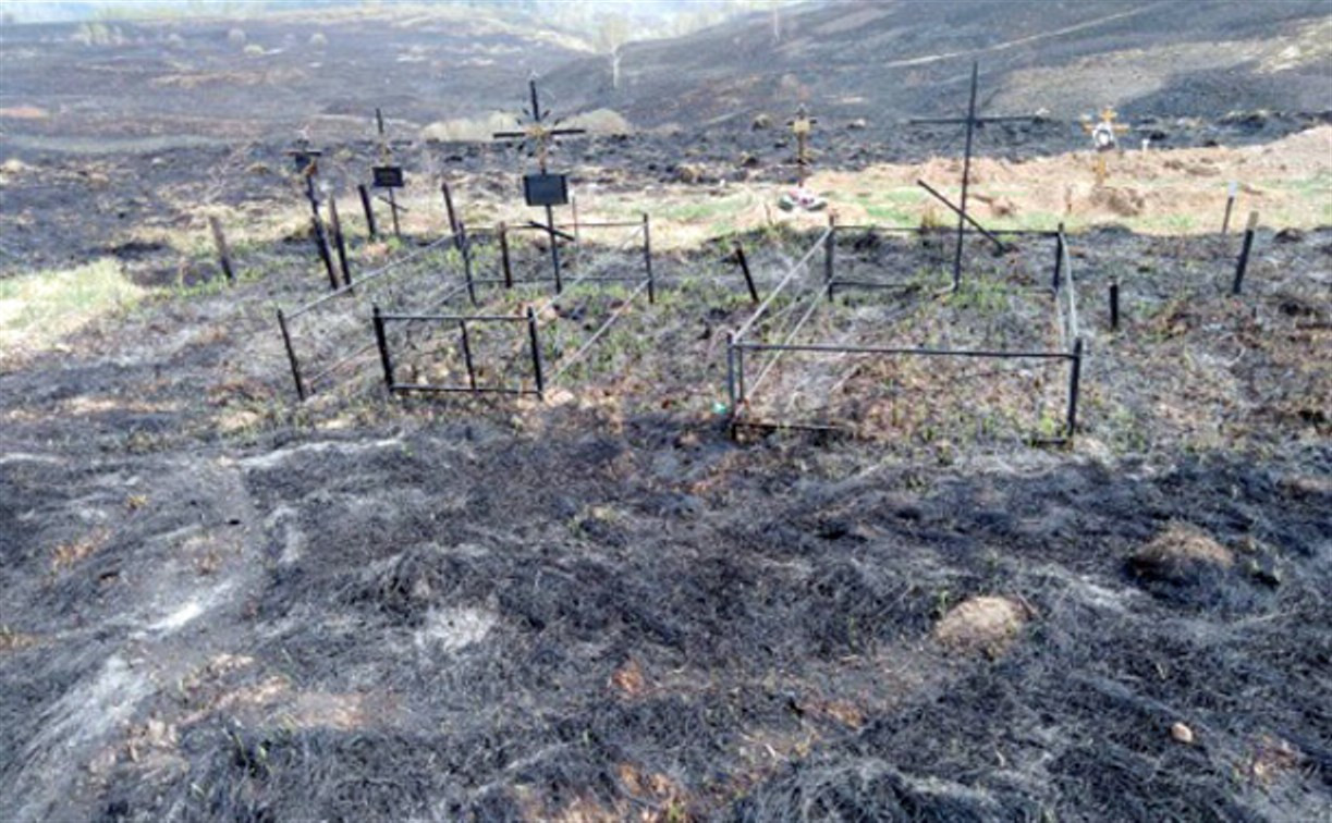 Пожар на кладбище в Тульской области уничтожил могилы: фото