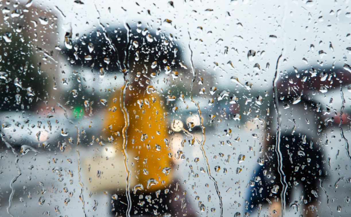 Погода в Туле 19 июня: дождливо и ветрено