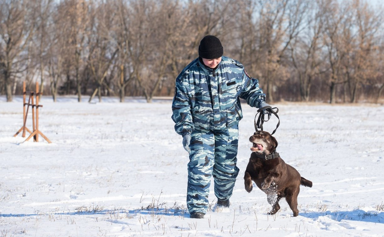 Под Тулой пропавшего жителя Краснодарского края искал полицейский-кинолог с собакой