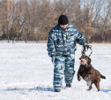 Под Тулой пропавшего жителя Краснодарского края искал полицейский-кинолог с собакой