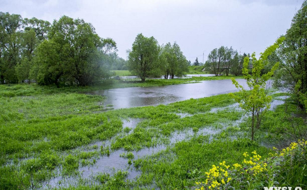 Последствия ливней: в Дедилово Тульской области до сих пор подтоплены 12 участков
