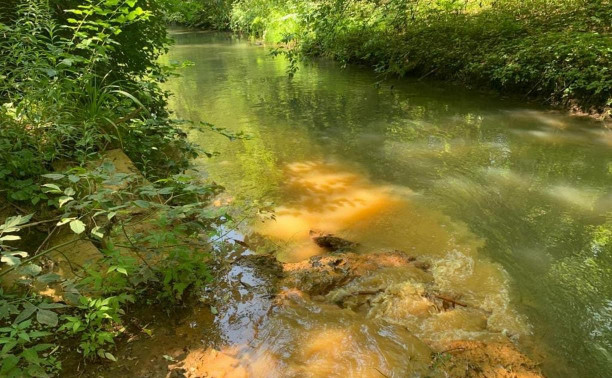 Ржавые стоки у Чулковского кладбища: кто отравляет воду в Тулице?