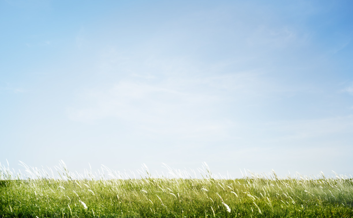 В Новомосковске установлен тотальный контроль за качеством атмосферного воздуха