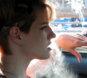 Союз молодёжи попросил Госдуму запретить курение за рулём