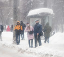 Погода в Туле 11 января: метель и оттепель