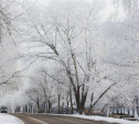 В Тульской области объявлено метеопредупреждение из-за морозов