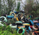 В Тульской области появились площадки бесплатного приема изношенных шин