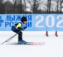 Больше 5500 туляков вышли на старты гонки «Лыжня России»: большой фоторепортаж