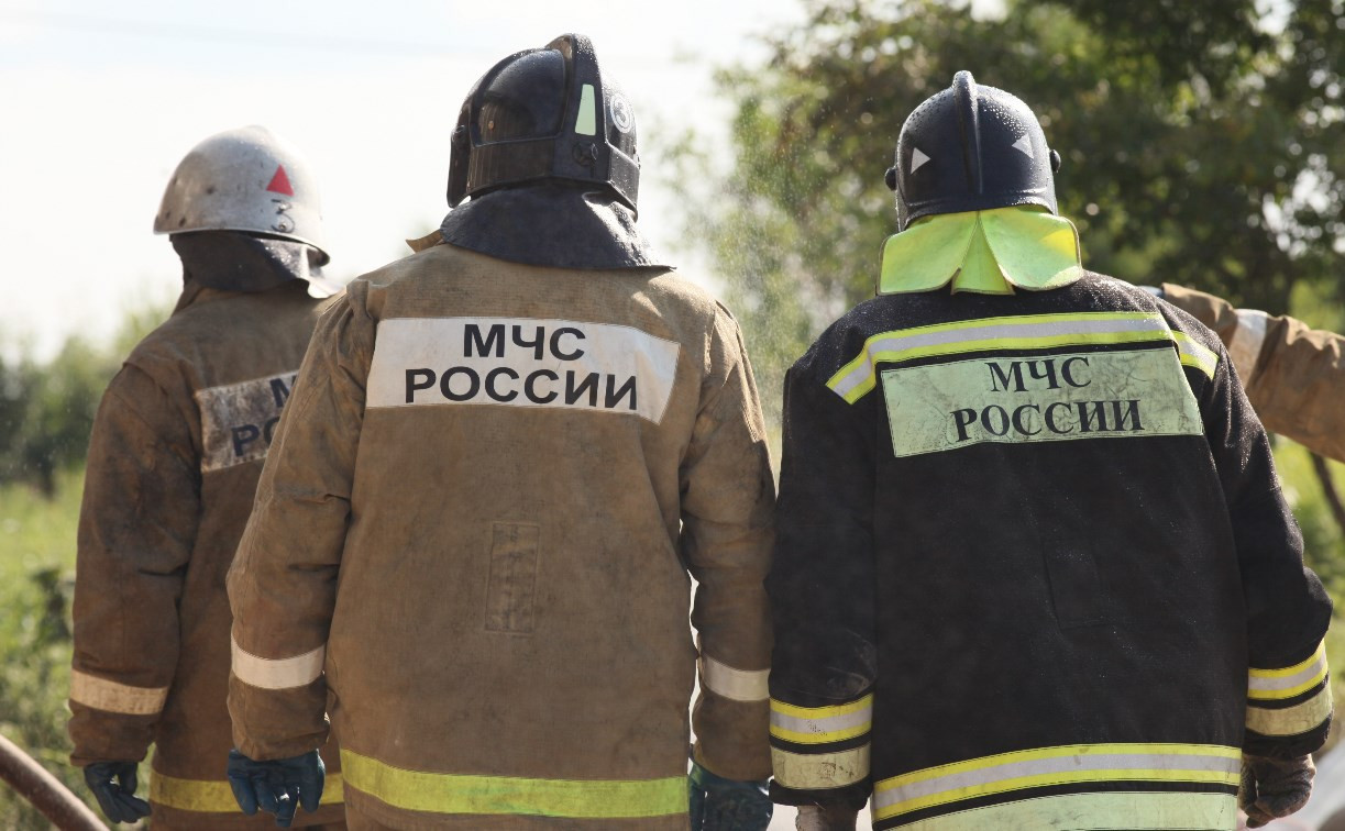В МЧС назвали победителей конкурса на лучший девиз дружин юных пожарных