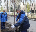 «Новомосковск, дыши!»: стартовала программа озеленения города 2020 года