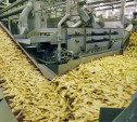 Компания McCain отказалась от строительства в Тульской области завода по переработке картофеля