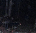 В Узловском районе «Киа» врезался в дерево: погибли две девушки