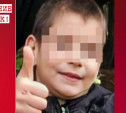В Тульской области пропал 9-летний мальчик