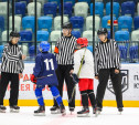 Федерация хоккея Тульской области объявляет набор судей