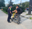 В Туле с начала года оштрафовали более 700 самокатчиков и велосипедистов