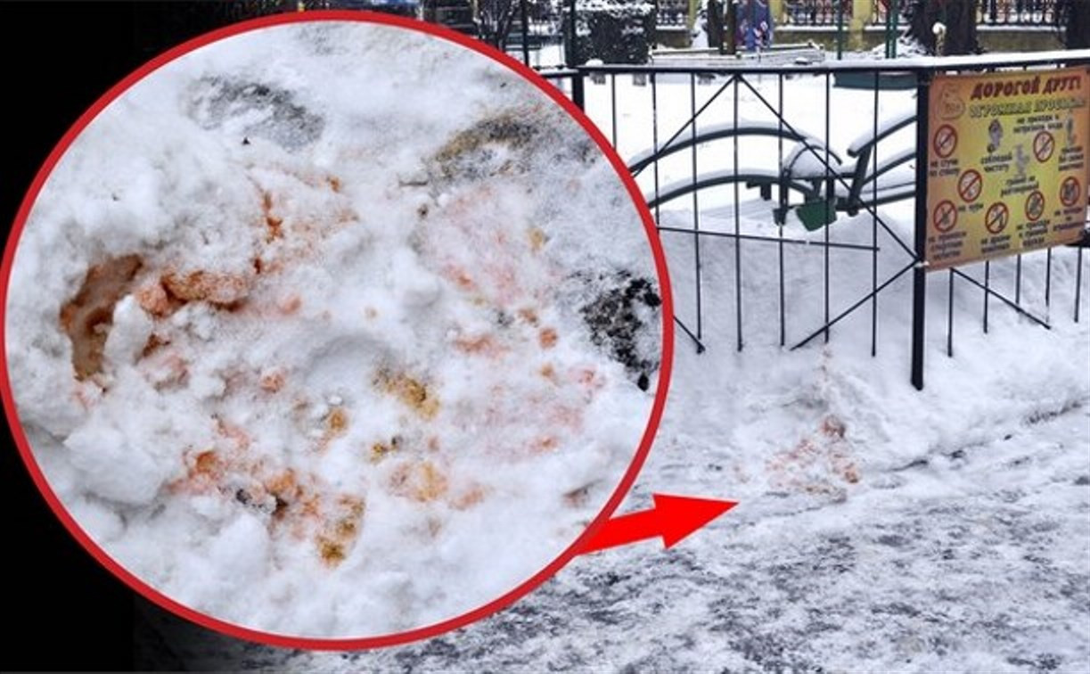 Сотрудники экзотариума обнаружили на снегу яд для собак