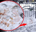 Сотрудники экзотариума обнаружили на снегу яд для собак