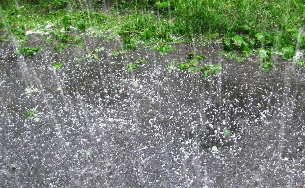 Погода в Туле 5 июня: утром туман, днём – дождь с градом и грозы