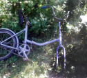 В Тульской области юный велосипедист попал под колеса грузовика