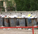 Жителям запретят выбрасывать мусор в контейнеры соседних домов!