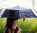 Погода в Туле 1 августа: до +19 градусов, дождь и ветер