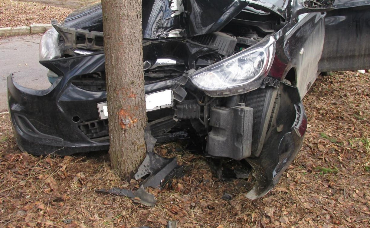 В Тульской области на территории базы отдыха автоледи на «Хёндэ» врезалась в дерево