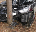 В Тульской области на территории базы отдыха автоледи на «Хёндэ» врезалась в дерево
