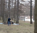 В детском парке Новомосковска нашли два трупа