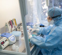 В Тульской области 10 новых случаев коронавируса: среди зараженных – дети