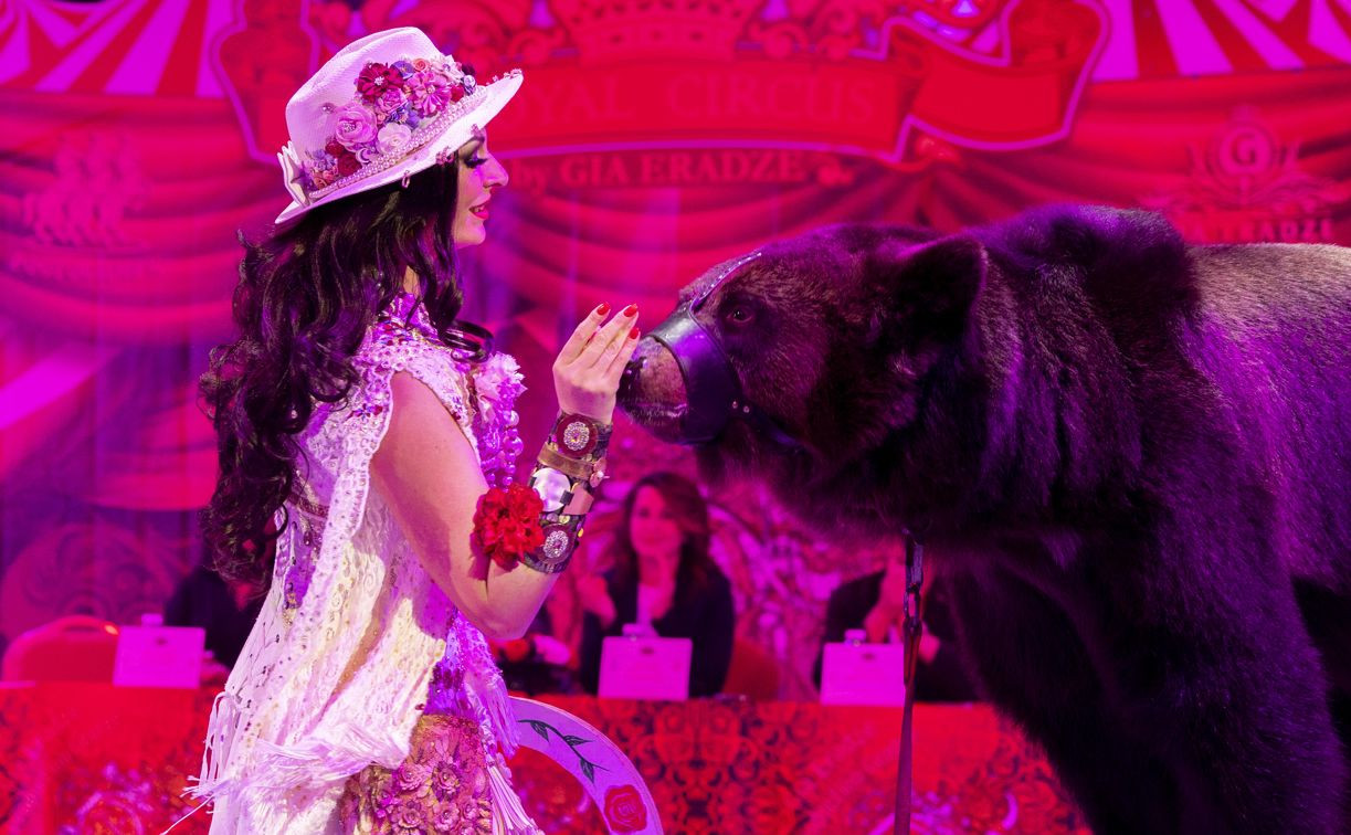 Туляков ждет премьера грандиозного циркового шоу Гии Эрадзе «5 континентов»