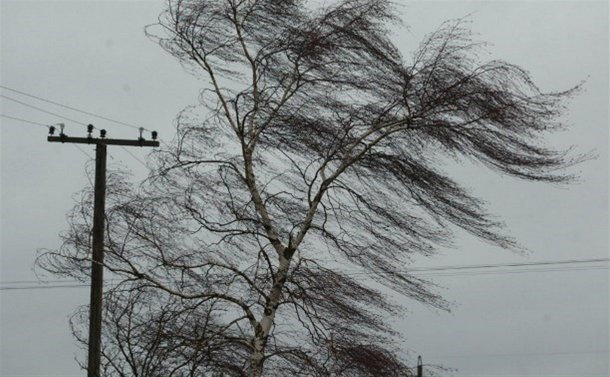 Метеопредупреждение: в Туле усилится ветер