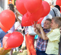 Тульские экологи призвали школы не запускать массово в небо воздушные шары